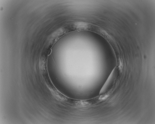 X0000061730379200512091551