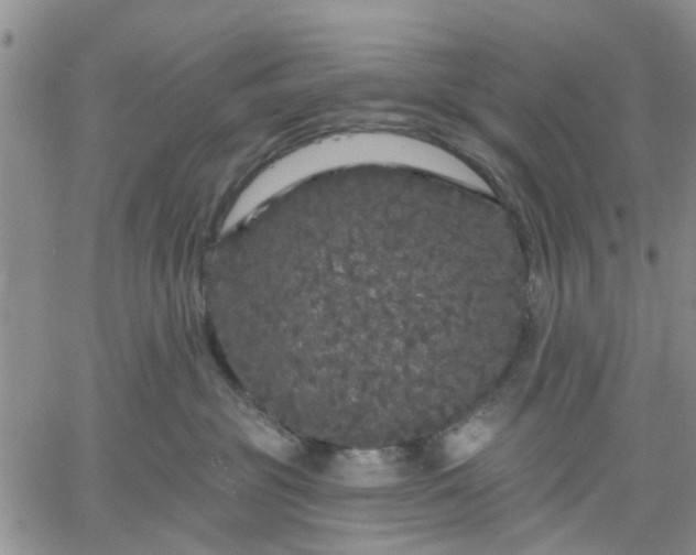 X0000061730381200512091551