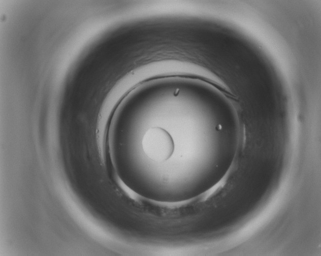 X0000061730382200512091551