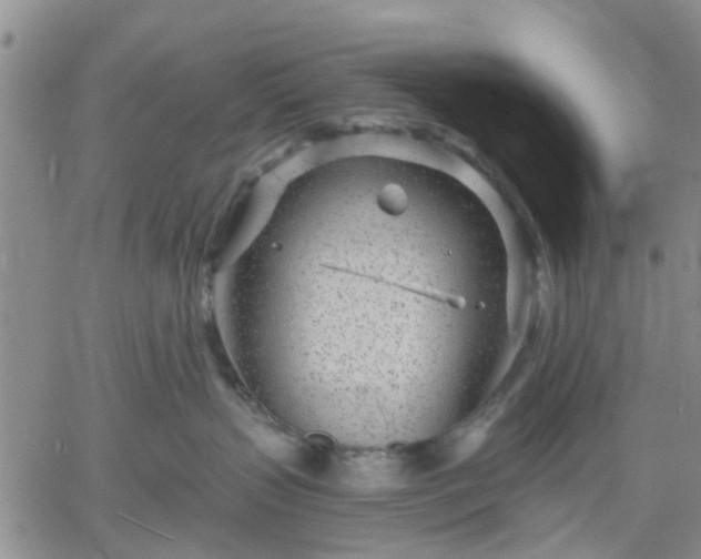 X0000061730383200512091551