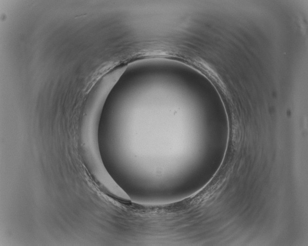 X0000061730385200512091550