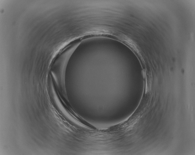 X0000061730387200512091550