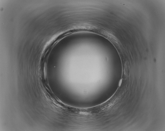 X0000061730388200512091550