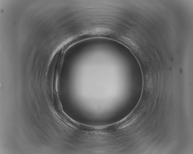 X0000061730392200512091550