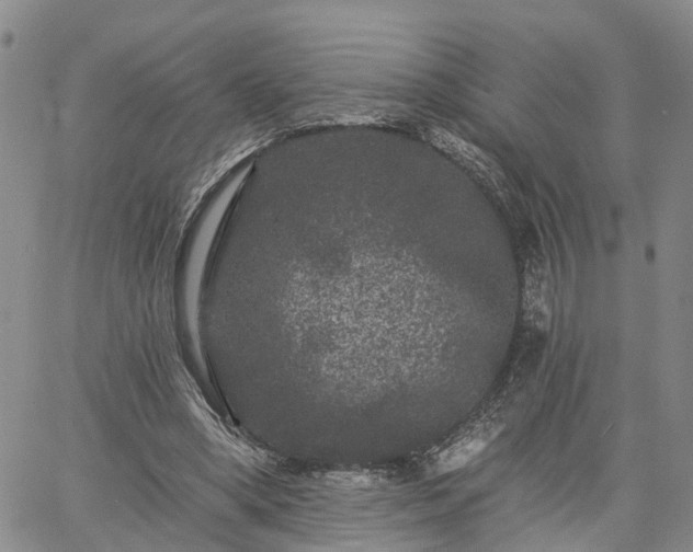 X0000061730394200512091550