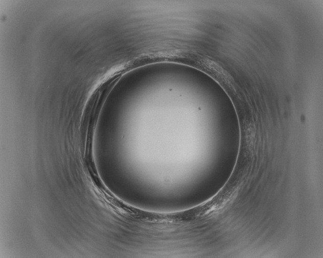 X0000061730395200512091550