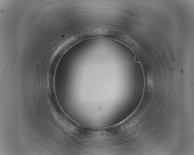 X0000061730396200512091550