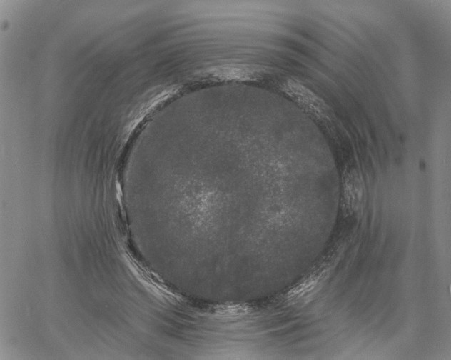 X0000061730398200512091550