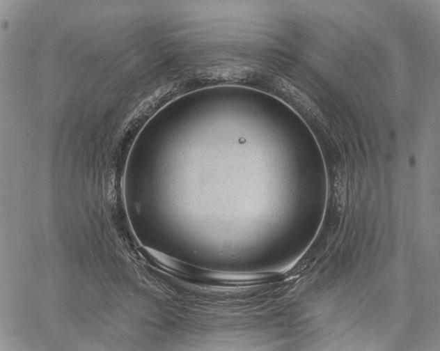 X0000061730403200512091550