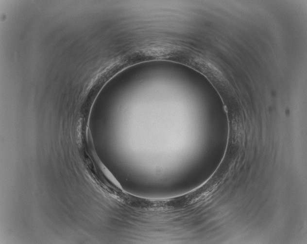 X0000061730404200512091550