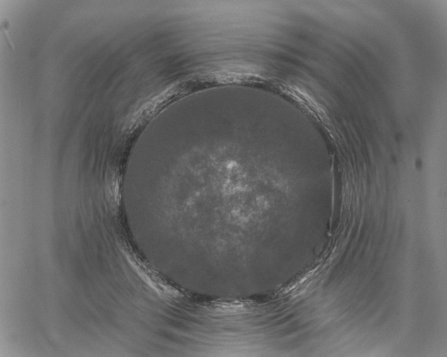 X0000061730405200512091550