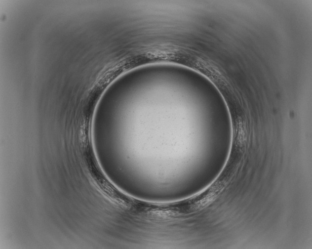 X0000061730408200512091550