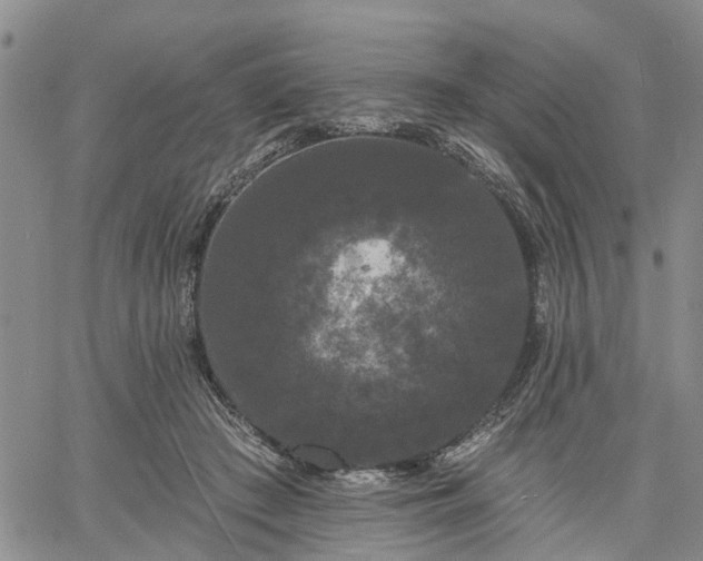 X0000061730409200512091550