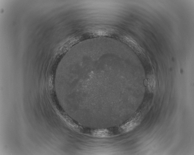 X0000061730410200512091550