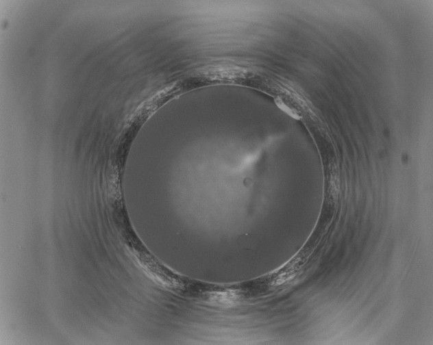 X0000061730411200512091550