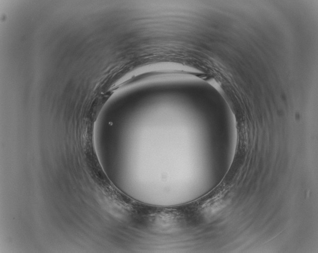 X0000061730412200512091550