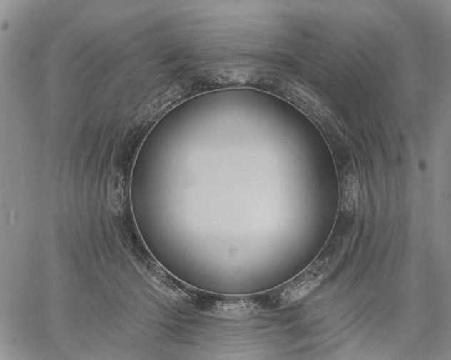 X0000061730414200512091550