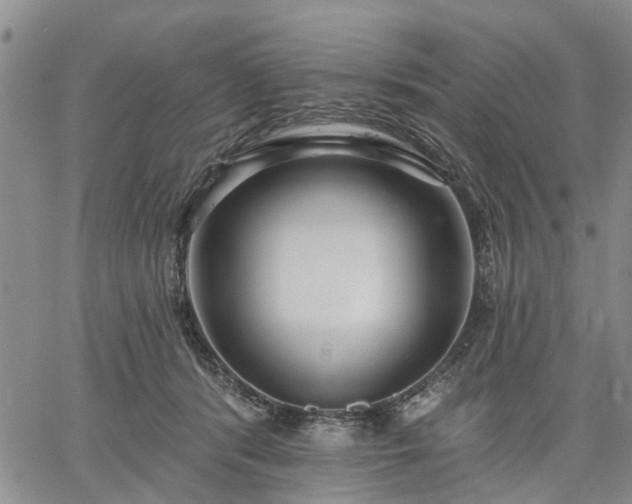 X0000061730416200512091550