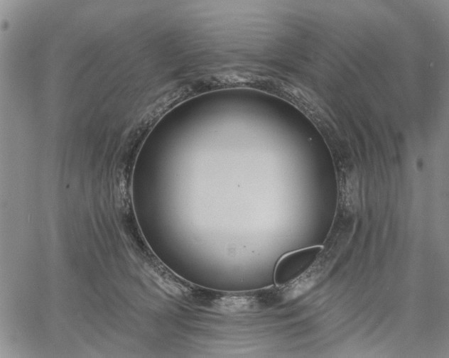 X0000061730418200512091550