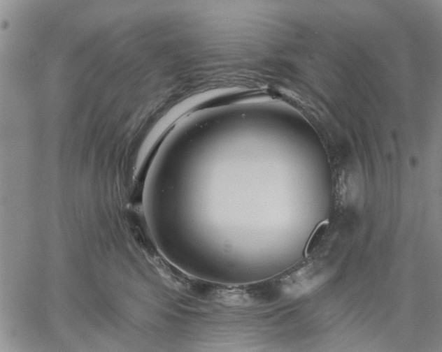 X0000061730424200512091550