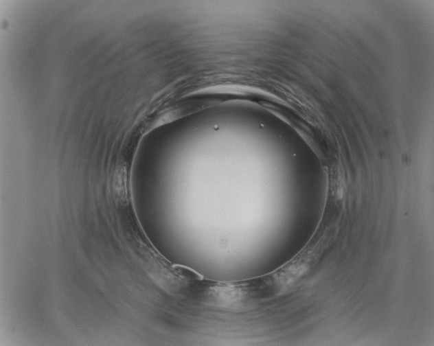 X0000061730425200512091550