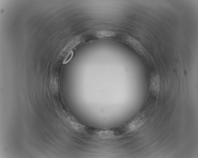 X0000061730426200512091550