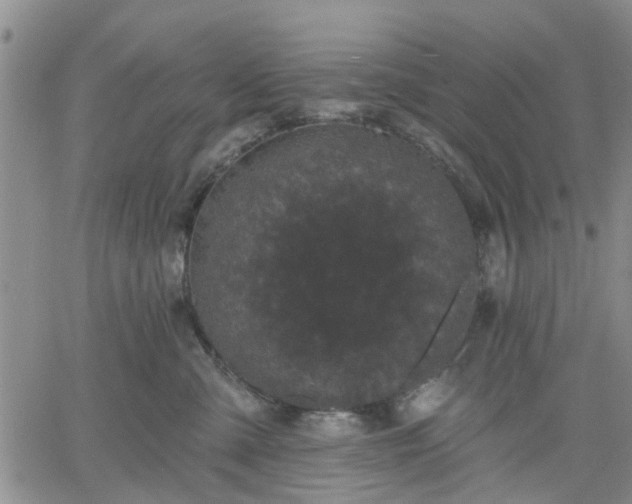 X0000061730427200512091550