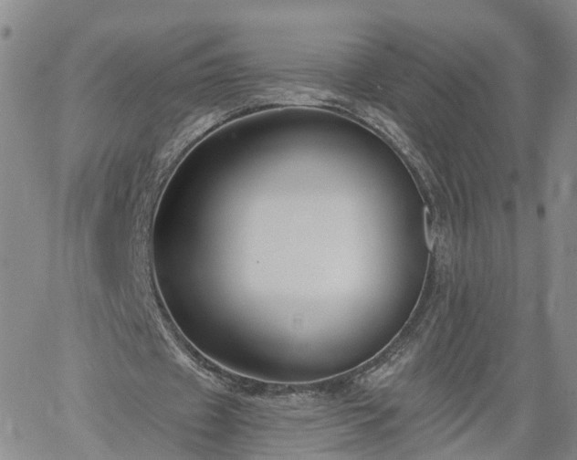 X0000061730433200512091549