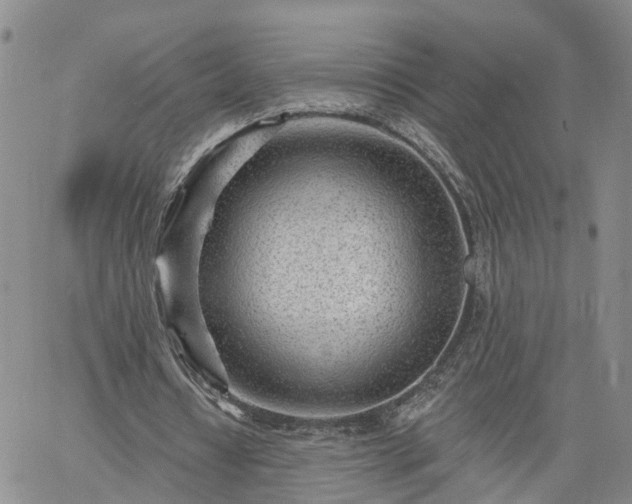 X0000061730434200512091549