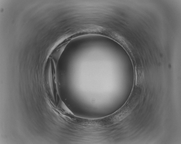 X0000061730435200512091549