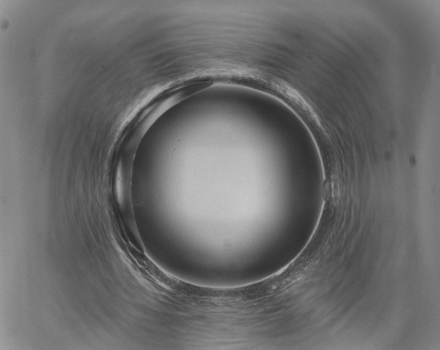 X0000061730436200512091549