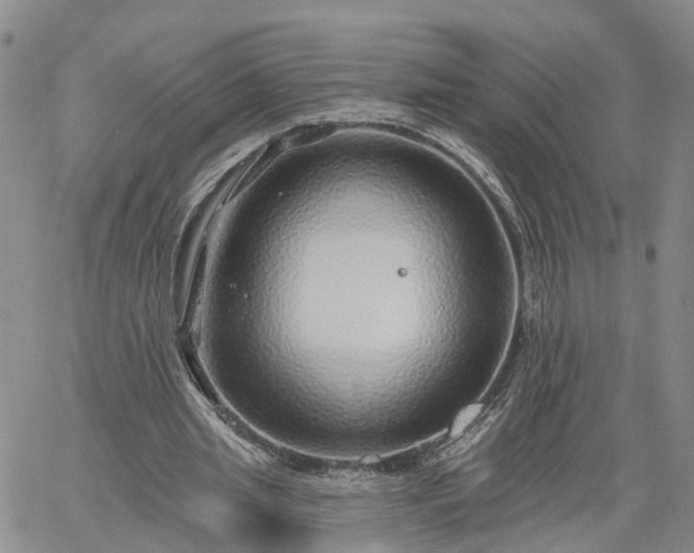 X0000061730437200512091549