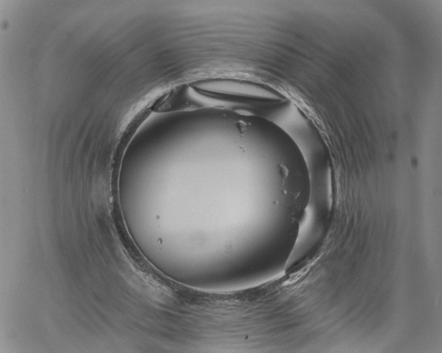 X0000061730438200512091549