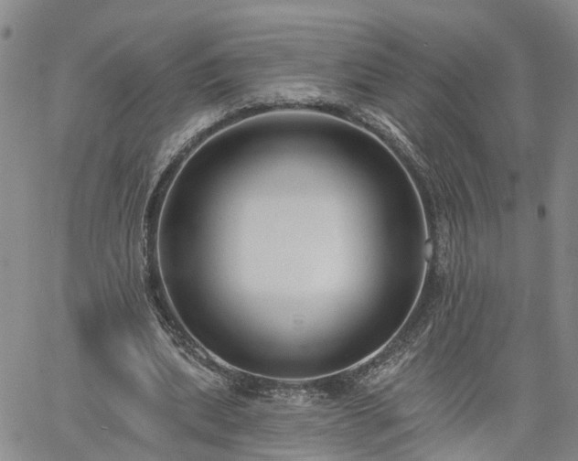 X0000061730439200512091549