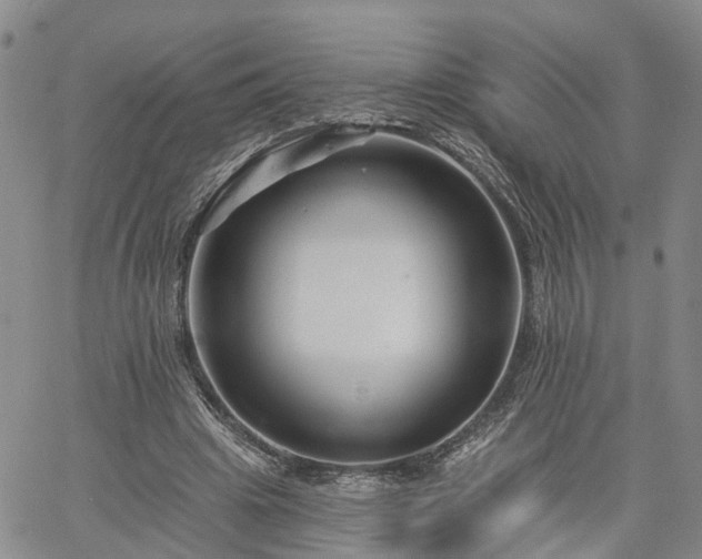 X0000061730441200512091549