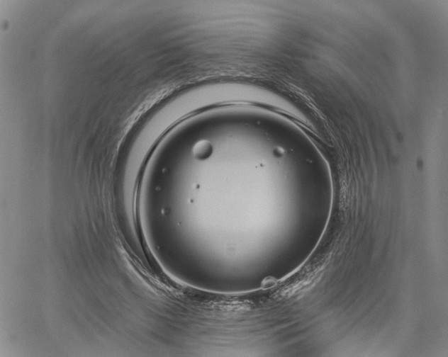 X0000061730443200512091549