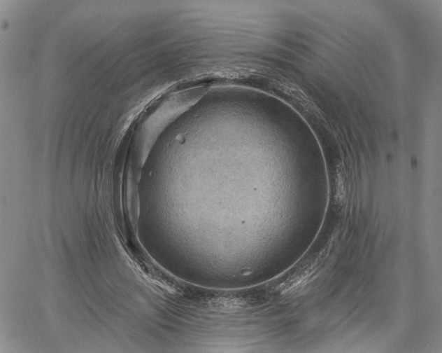 X0000061730444200512091549