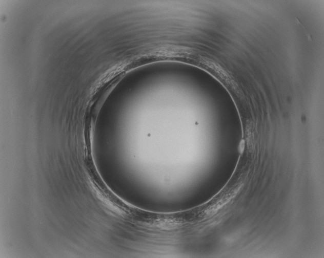 X0000061730445200512091549