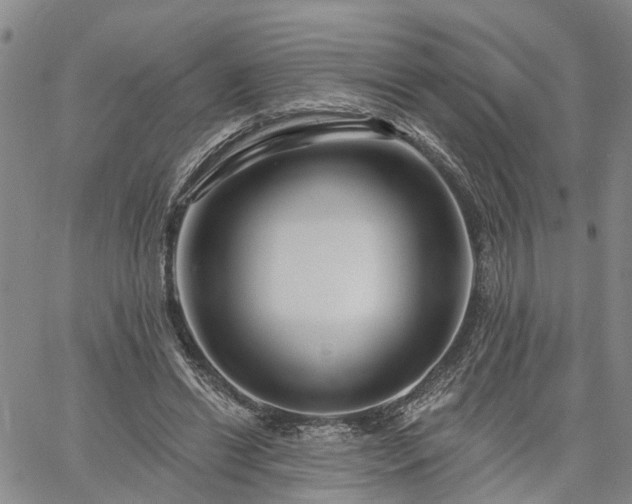 X0000061730446200512091549