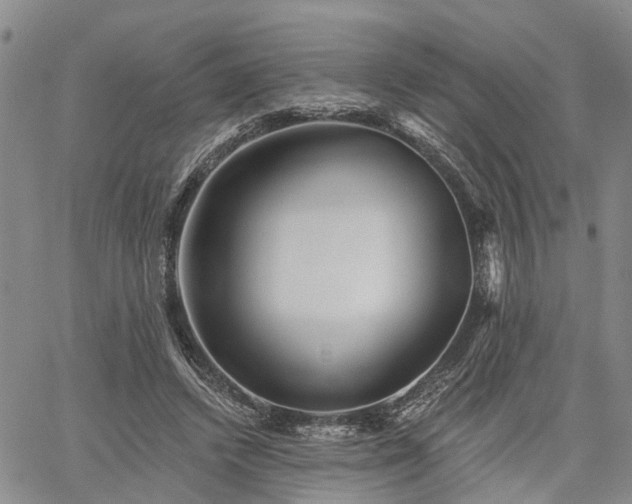 X0000061730448200512091549