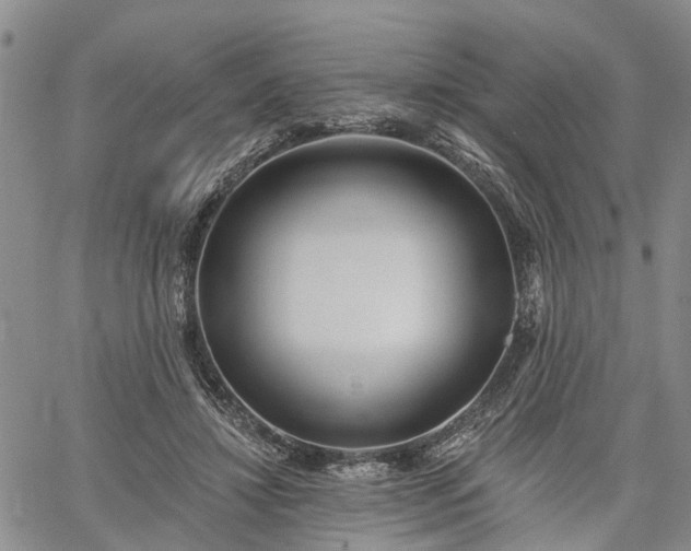 X0000061730452200512091549