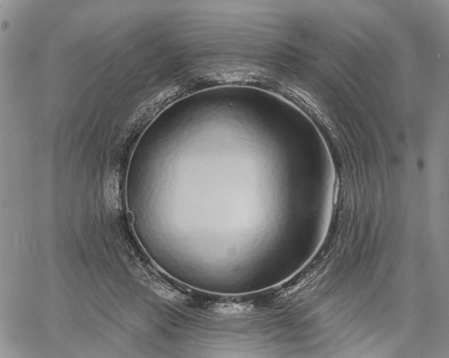 X0000061730453200512091549