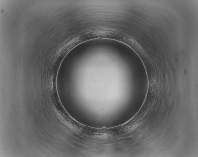 X0000061730454200512091549