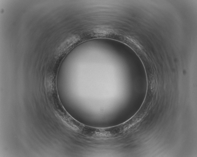 X0000061730455200512091549