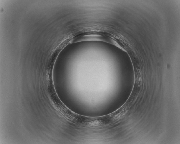 X0000061730456200512091549