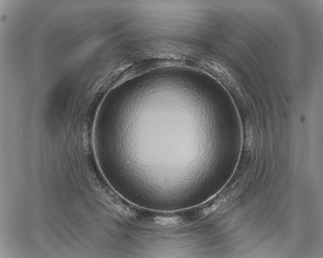 X0000061730457200512091549