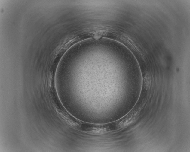 X0000061730458200512091549