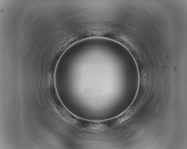 X0000061730459200512091549