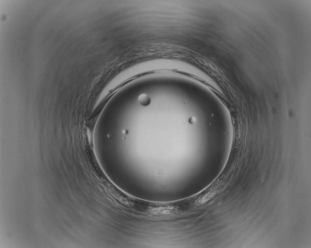 X0000061730461200512091549