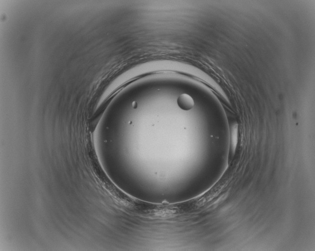 X0000061730462200512091549